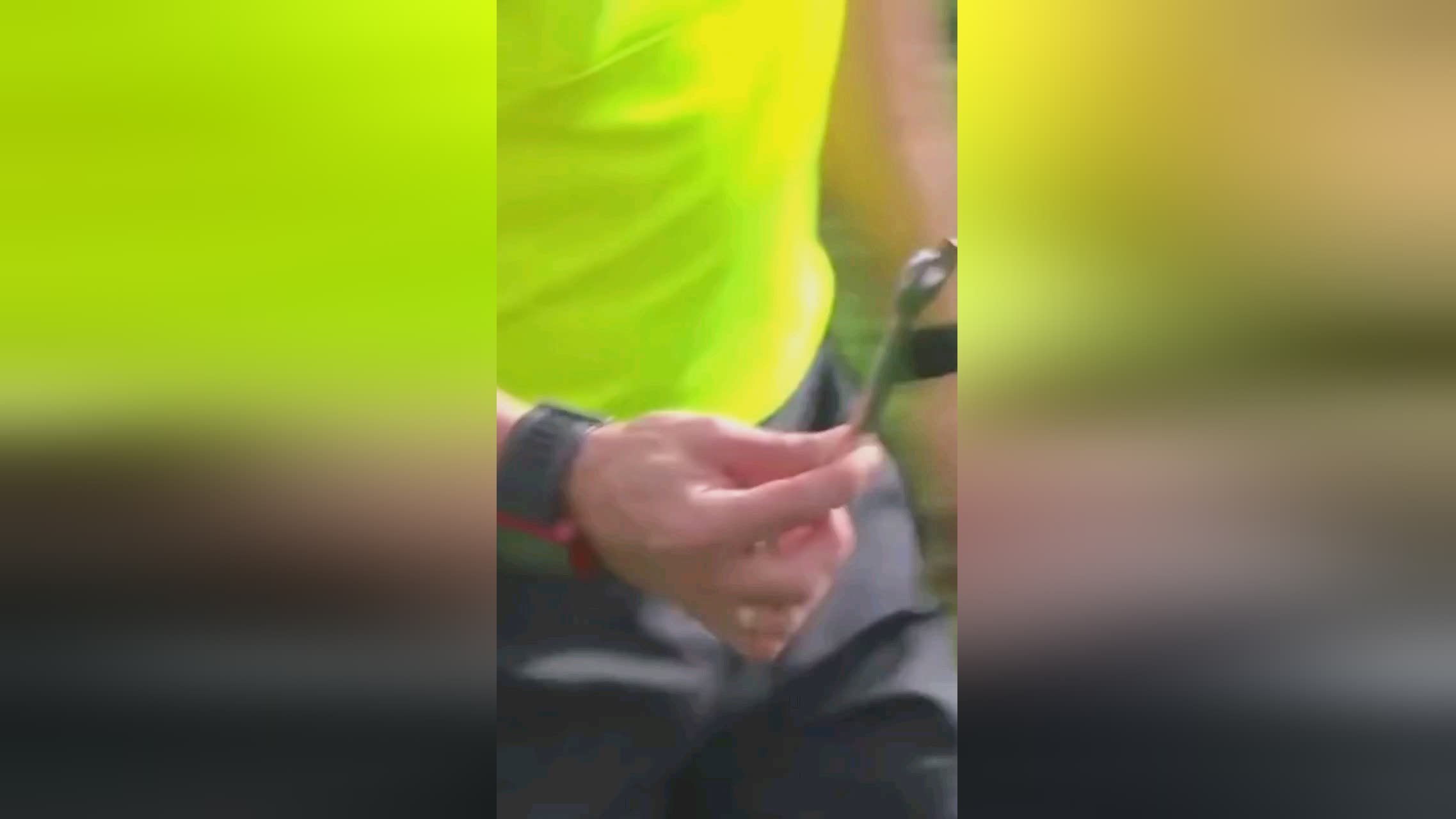 得更多